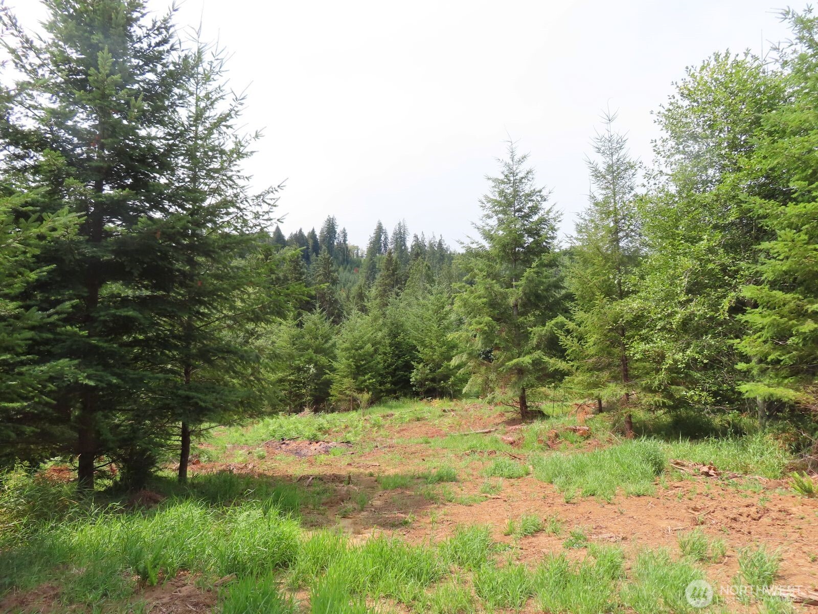 -lot B Mill Creek Road Longview, WA 98632 - Photo 8 of 27 a view of outdoor space and yard