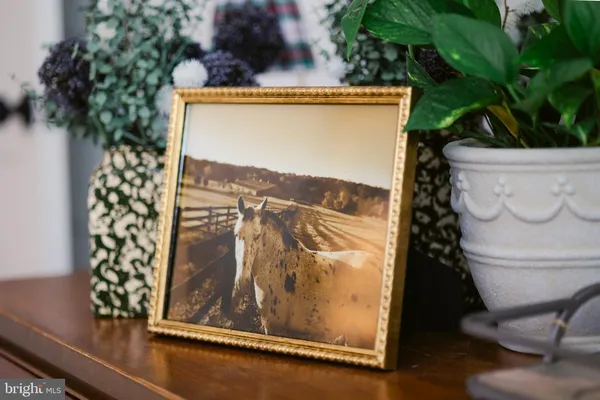 $12,000 | 13230 Falls Road, Cockeysville, MD 21030