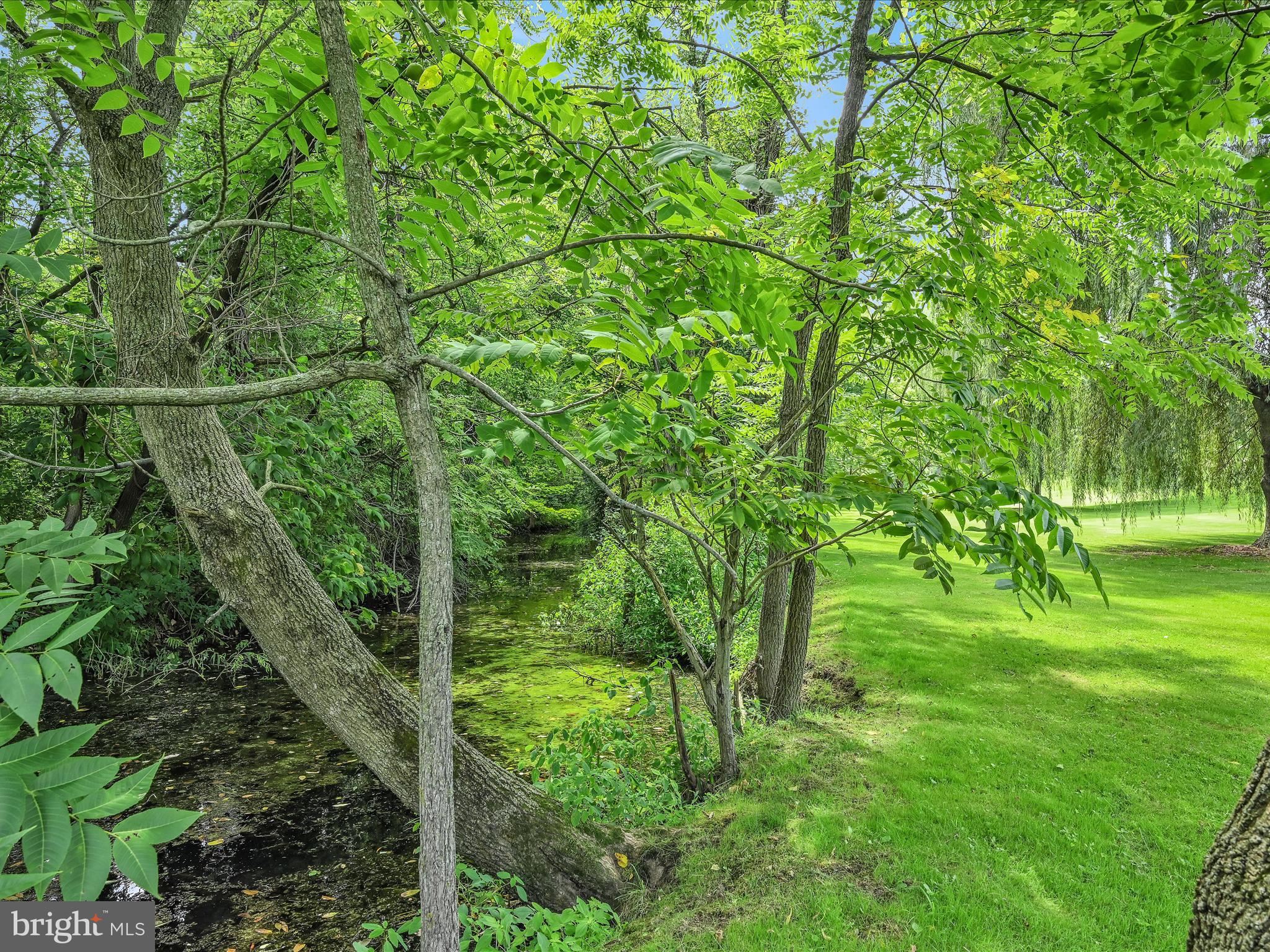 16 South Millbach Road Newmanstown, PA 17073 - Photo 48 of 65 Rear Yard