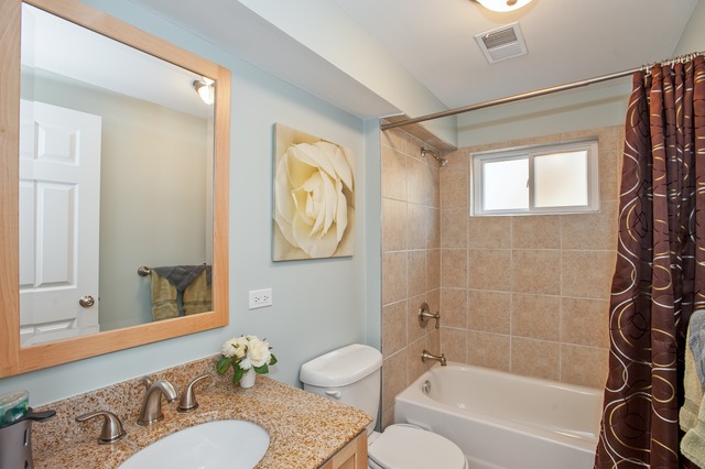 2519 Harrison Street Glenview, IL 60025 - Photo 9 of 10 a bathroom with a granite countertop sink toilet and shower