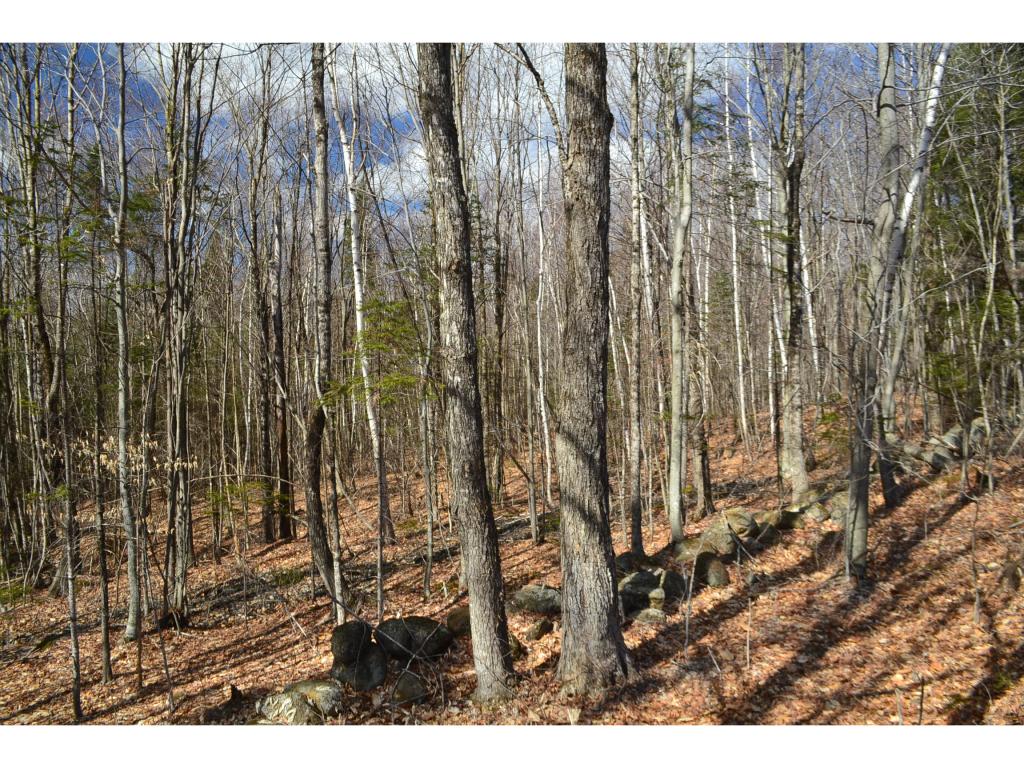 292 King Rd Hill Hill, NH 03243 - Photo 14 of 16 Gallery Image 14