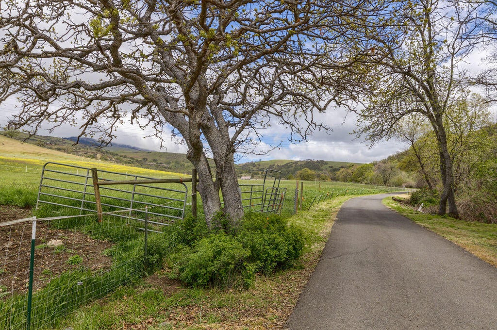 Gated beautiful lane into the property.
