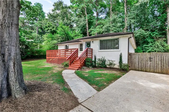 a view of a backyard with plants and large trees