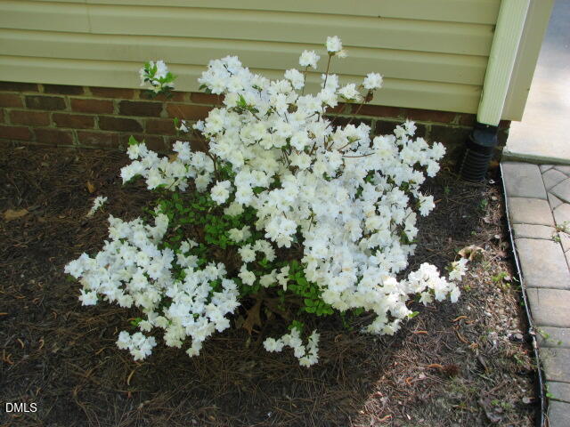 10249 State Rte 903 Bracey, VA 23919 - Photo 22 of 23 IMG_0023