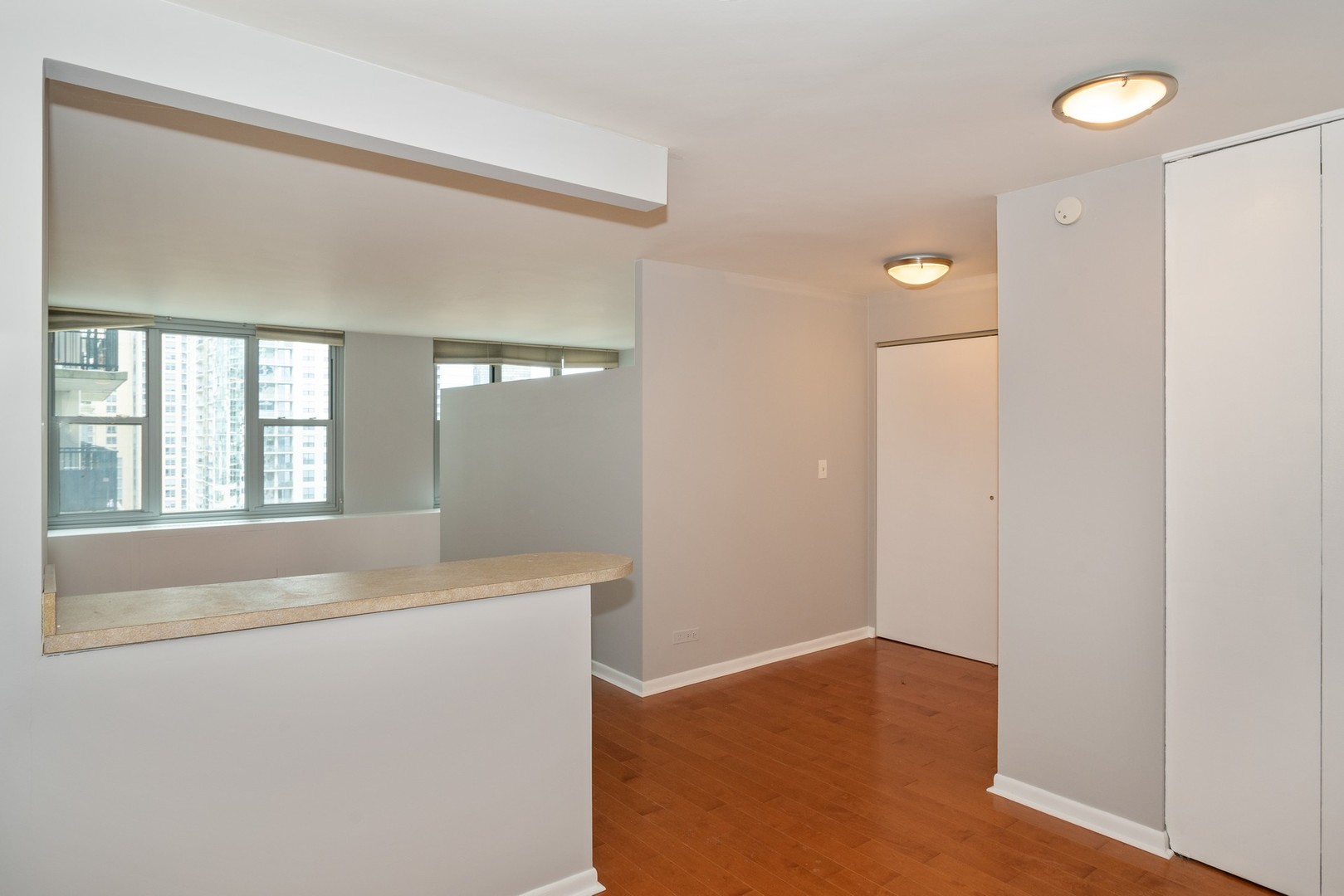 400 East Randolph Street, Unit 2102 Chicago, IL 60601 - Photo 9 of 39