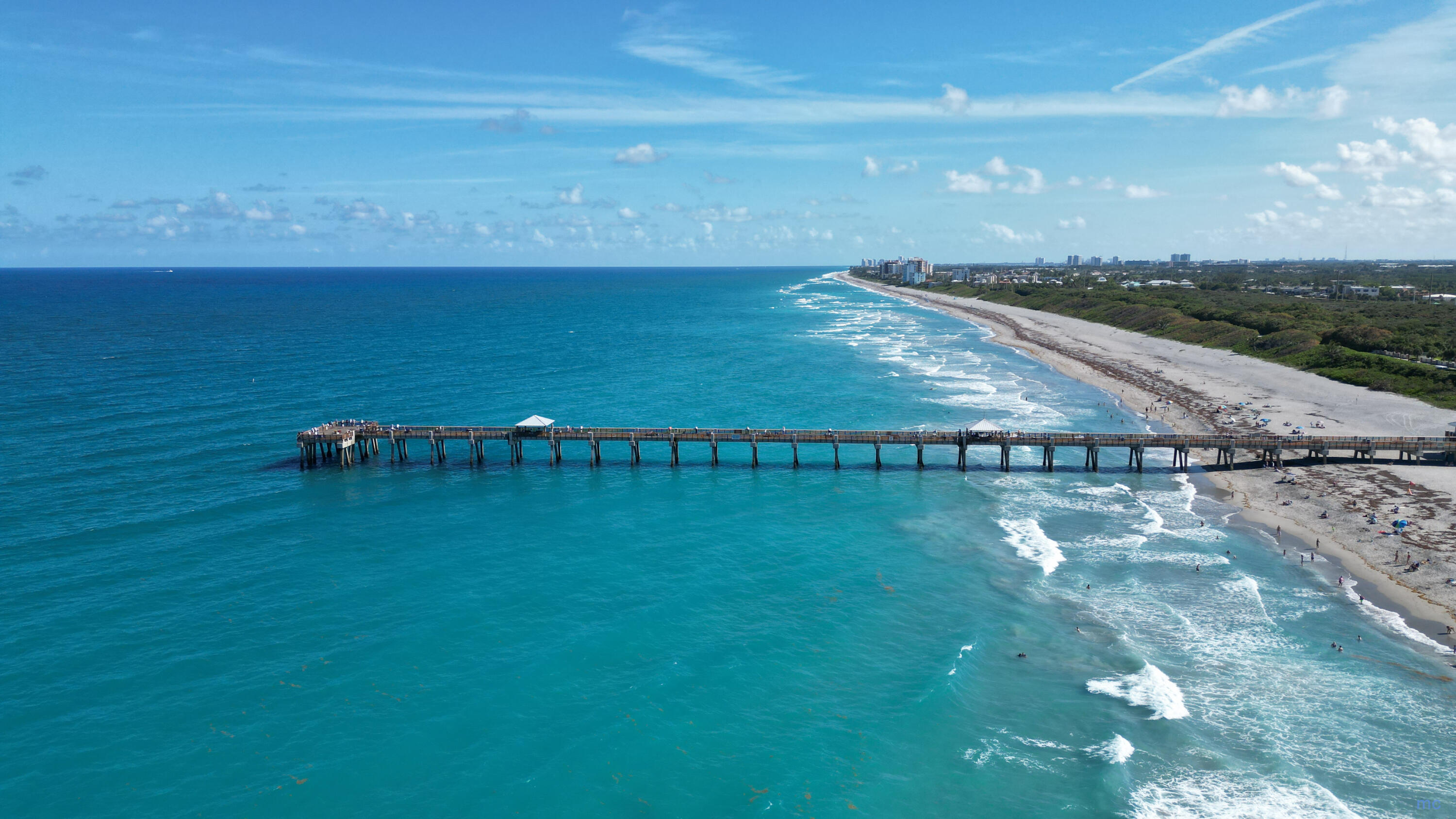 136 Doe Trail Jupiter, FL 33458 - Photo 29 of 38 Juno Pier