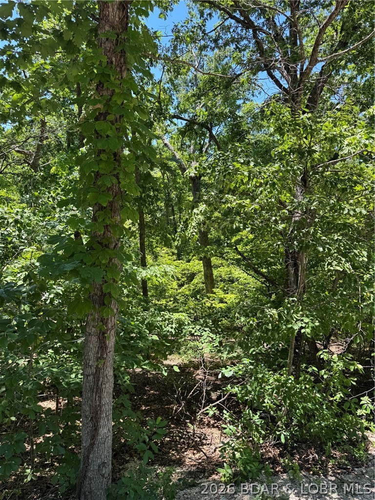 Four Columbine Road Four Seasons, MO 65049 - Photo 10 of 12