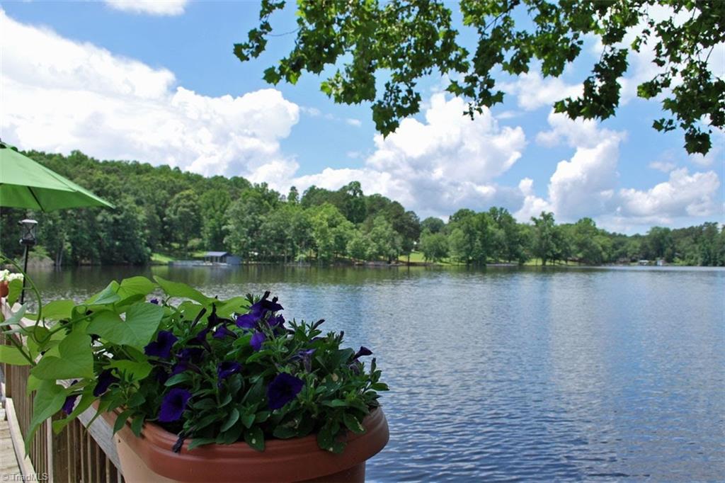 780 Cedar Branch Road Denton, NC 27239 - Photo 3 of 29 What a great view!!