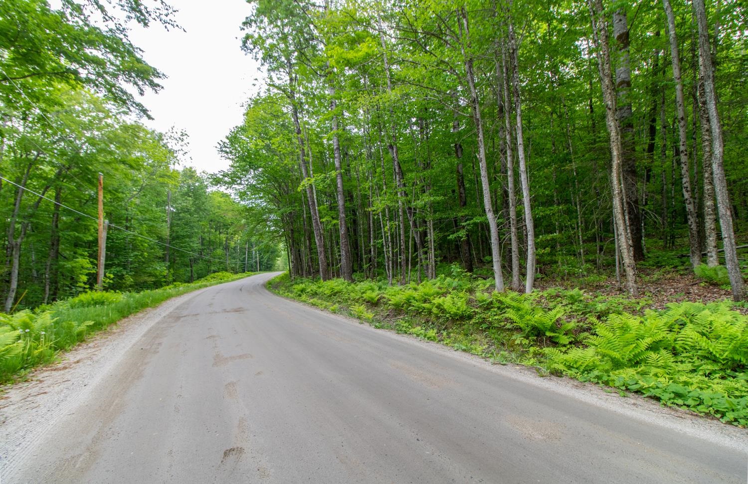 371 Pinkham Road Burke, VT 05832 - Photo 5 of 13