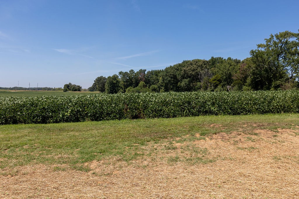 215 Kerr Way Portland, TN 37148 - Photo 15 of 16 Gallery Image 15
