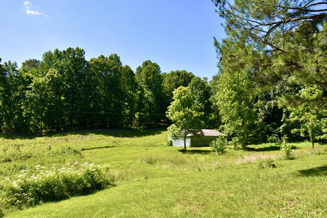 4296 Ronnie Lake Road Utica, KY 42376 - Photo 7 of 43 57259ADF-3733-4C29-8AE3-91926912CD5B_1_1