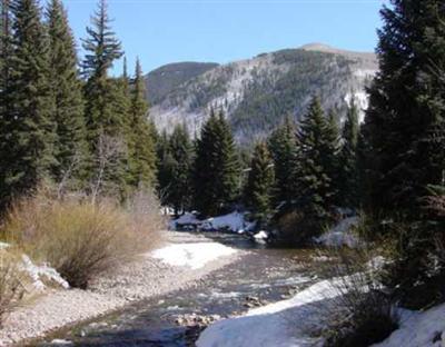 725 West Forest Road Vail, CO 81657 - Photo 10 of 12 Additional Photo