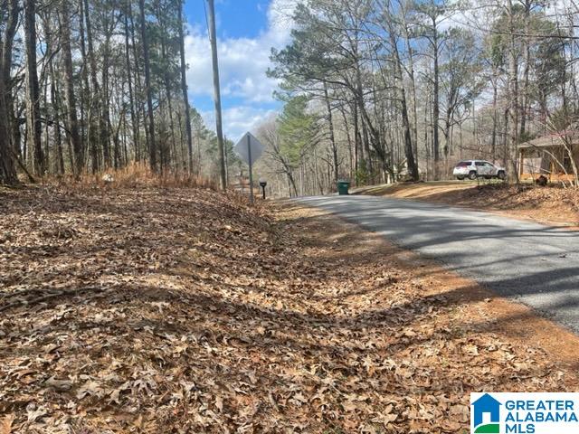 0 Ridgeway Circle, Unit 95 AND 96 Talladega, AL 35160 - Photo 10 of 10