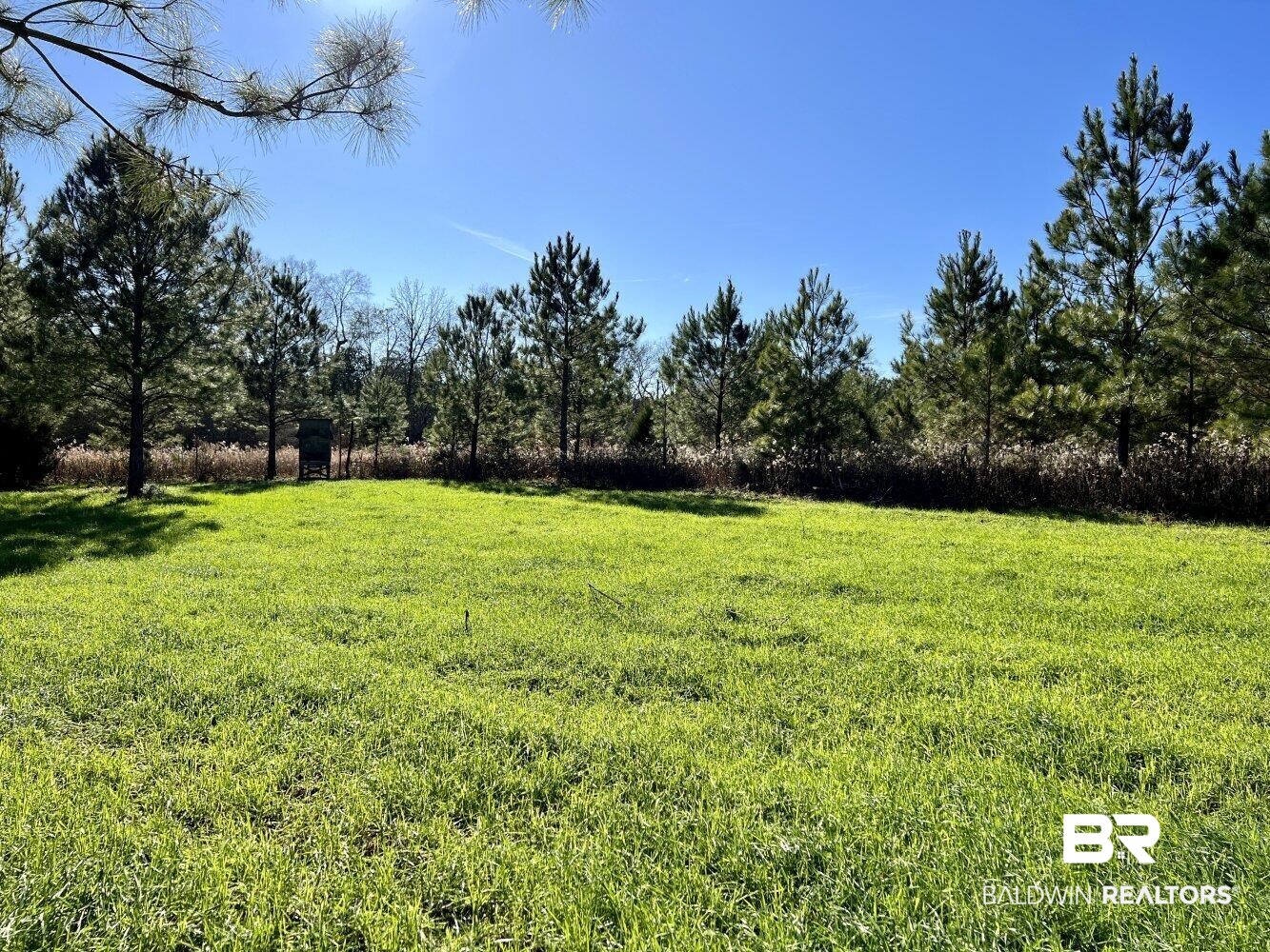 0 Highway 84 Evergreen, AL 36401 - Photo 25 of 50