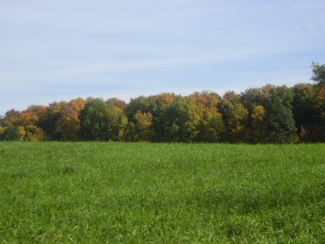 1652 30th Avenue Blanchard, MI 49310 - Photo 1 of 1 six lakes 1