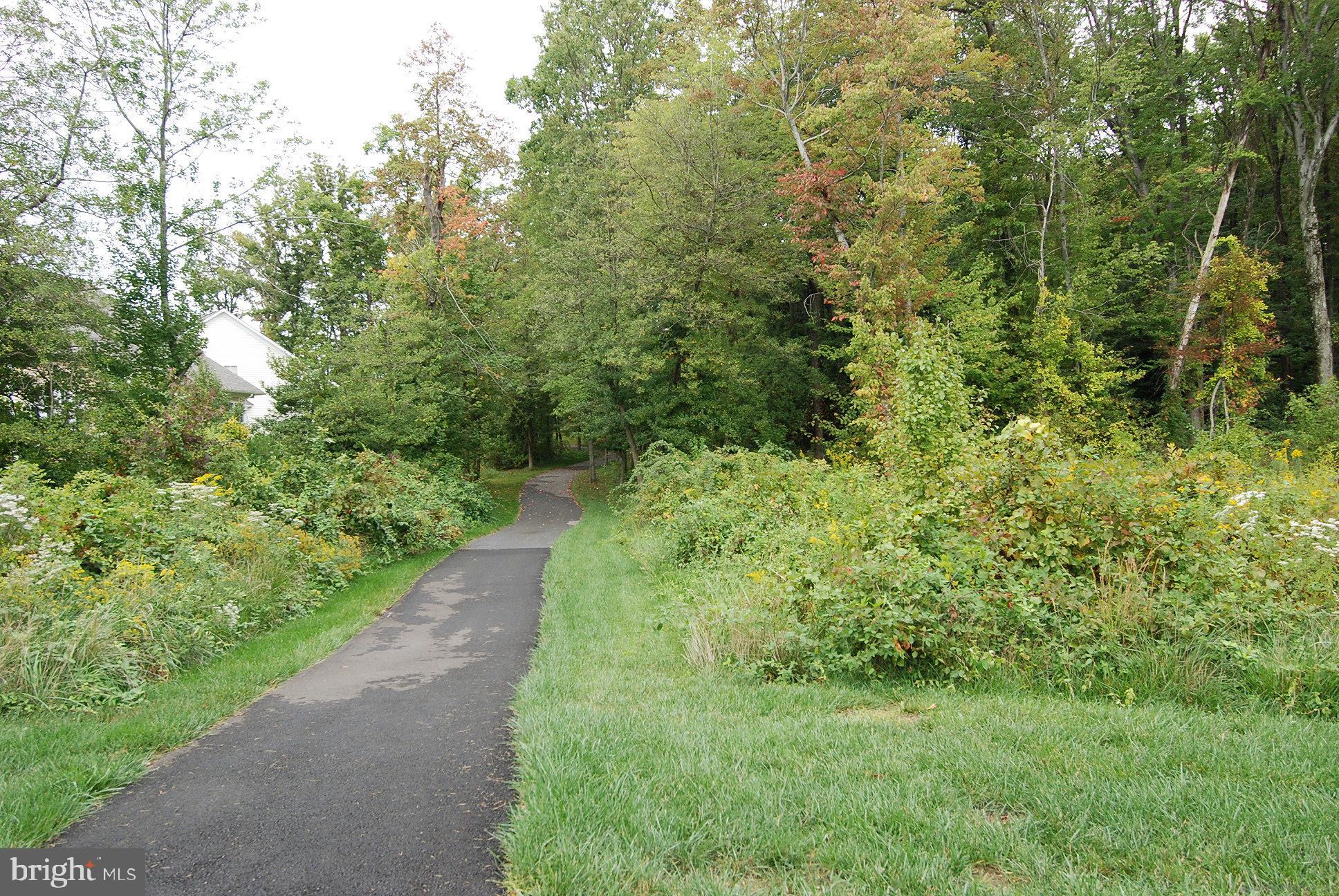 13851 Belle Chasse Boulevard, Unit 213 Laurel, MD 20707 - Photo 44 of 54 a view of a lush green forest