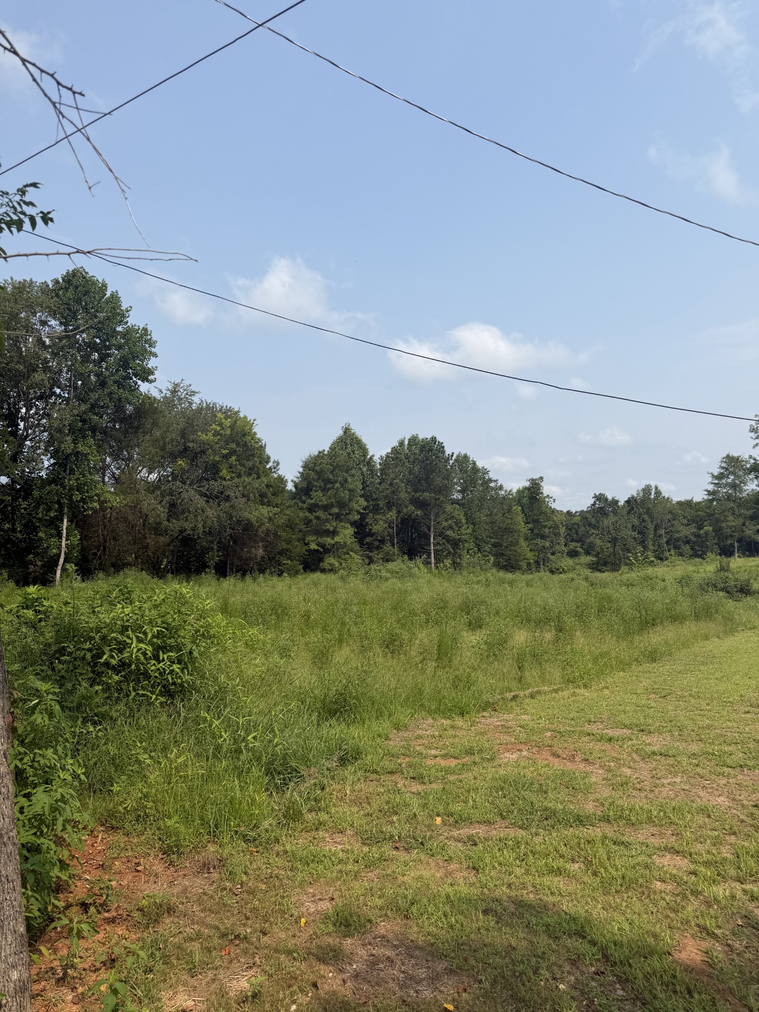 0 Aedc Lakeview Road Estill Springs, TN 37330 - Photo 4 of 4 Gallery Image 4