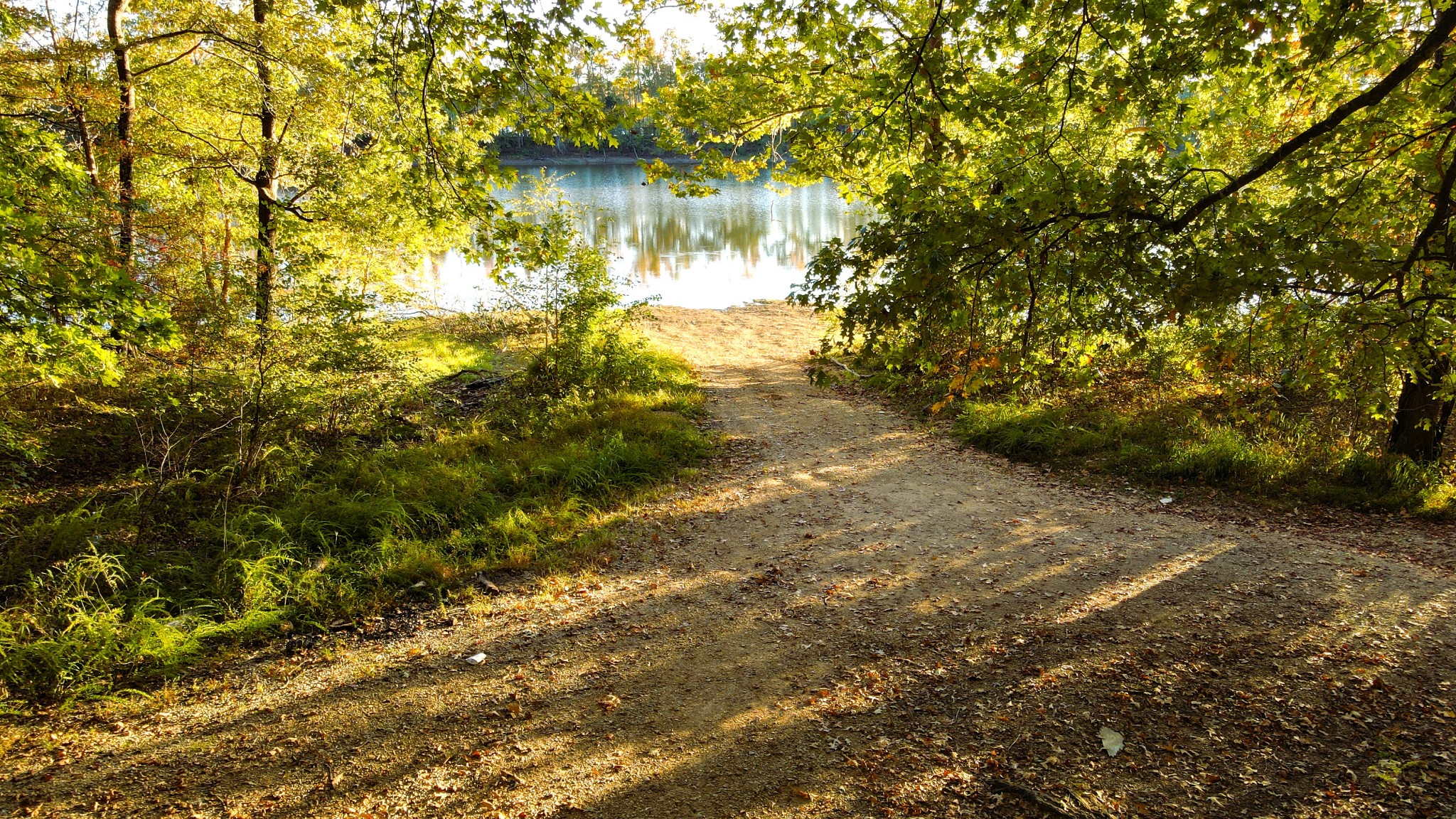 0 Davis Lake Camden, TN 38320 - Photo 12 of 13 a view of lake with tree