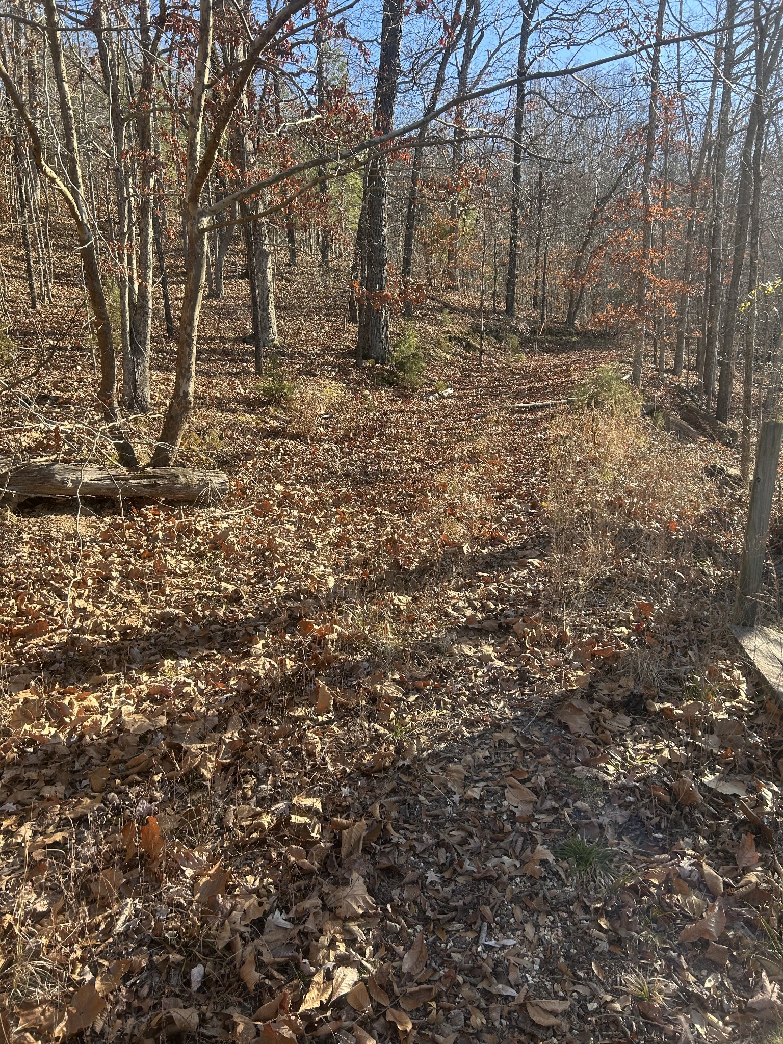 0 Davis Lake Camden, TN 38320 - Photo 5 of 13 a backyard of a house with lots of green space