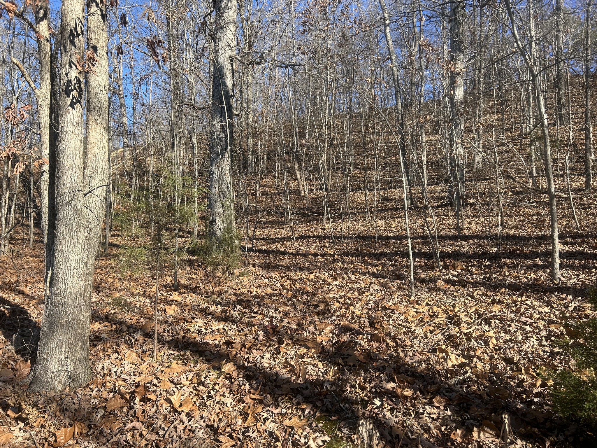 0 Davis Lake Camden, TN 38320 - Photo 7 of 13 a bathroom with a shower