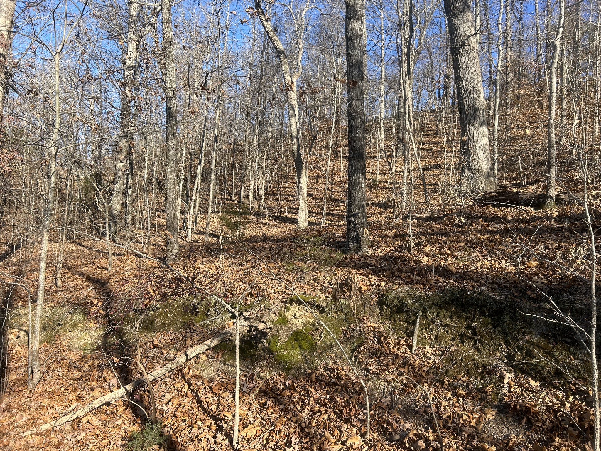 0 Davis Lake Camden, TN 38320 - Photo 8 of 13 a view of house with a yard