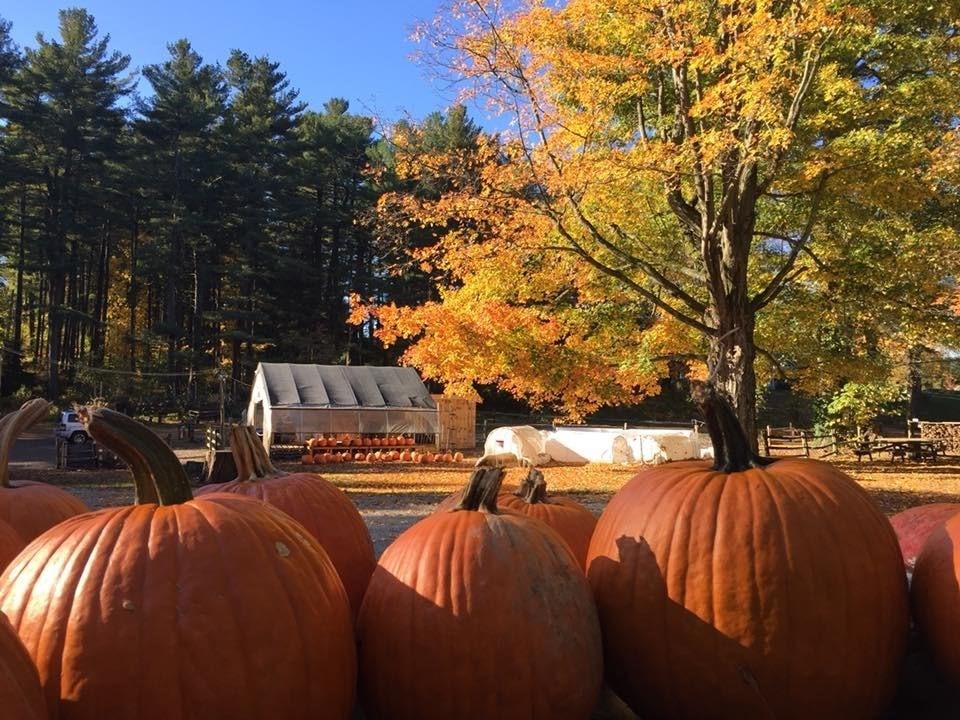 19 Algonquin Road Canton, MA 02021 - Photo 39 of 40