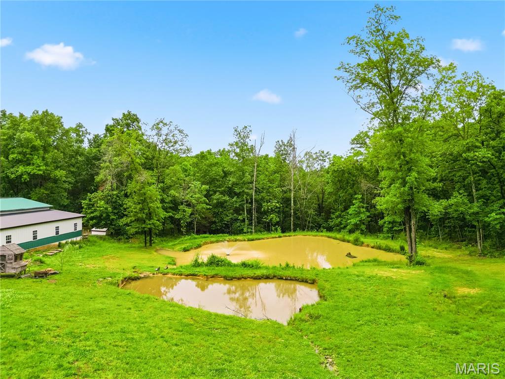 801 Honeyridge Road Catawissa, MO 63015 - Photo 89 of 99