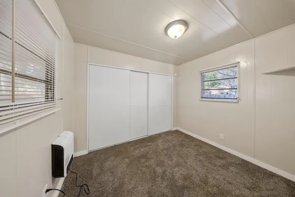 a bedroom with a large bed and a potted plant