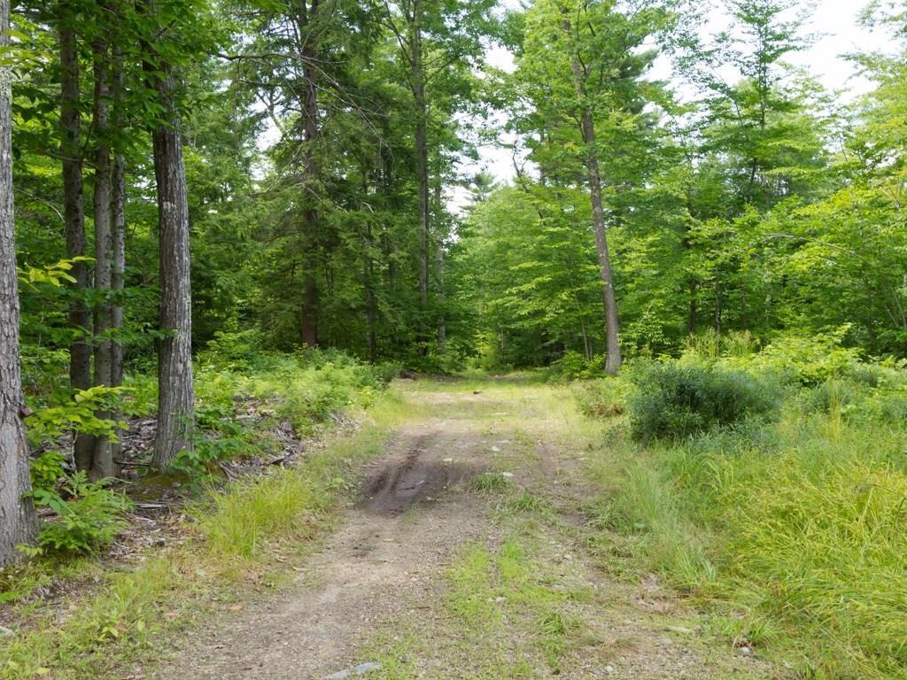 Lot 12 Gore Road Naples, ME 04055 - Photo 9 of 29 Photo