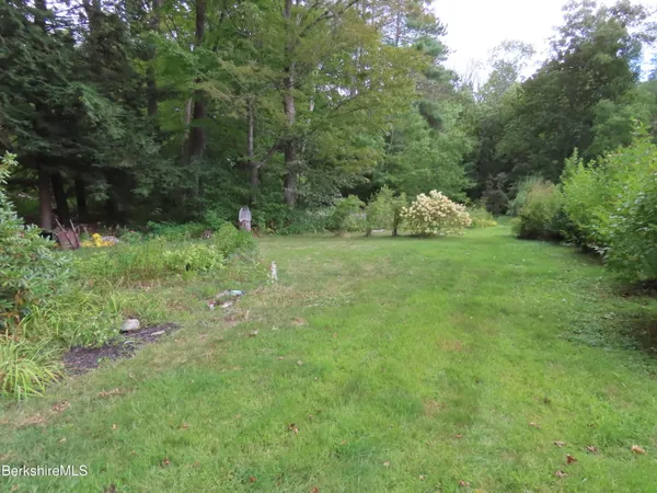 a view of a lush green space