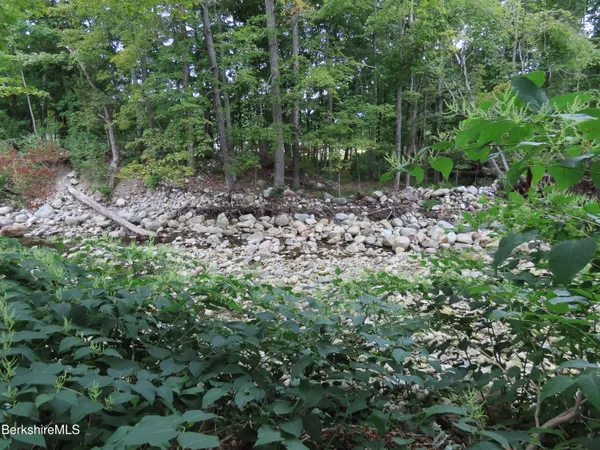 a view of a bunch of trees
