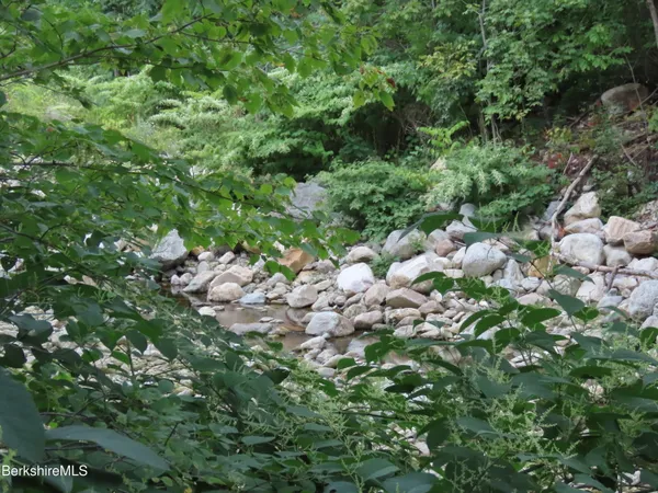a view of a tree with a yard