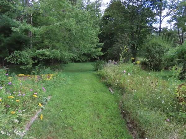 a view of a green field with lots of bushes
