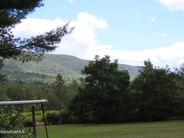 a view of a garden with trees