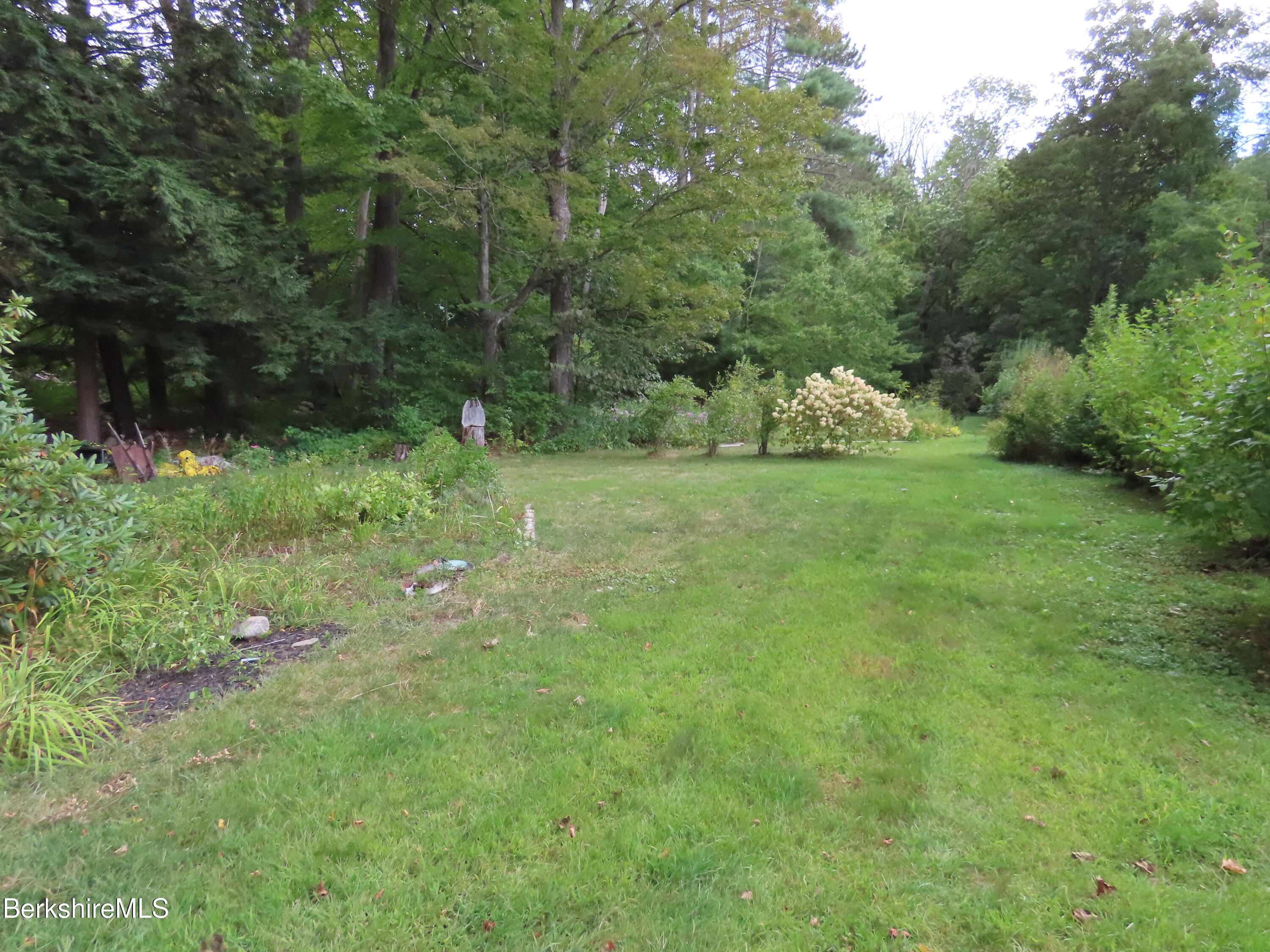 1138 Main Road Stamford, VT 05352 - Photo 4 of 46 a view of a lush green space