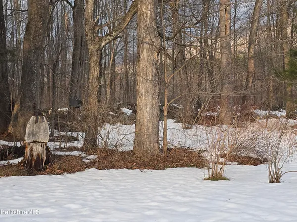 a view of snow on the road