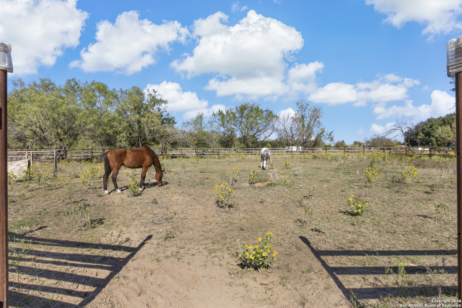 15515 South Skaggs Road Atascosa, TX 78002 - Photo 22 of 24