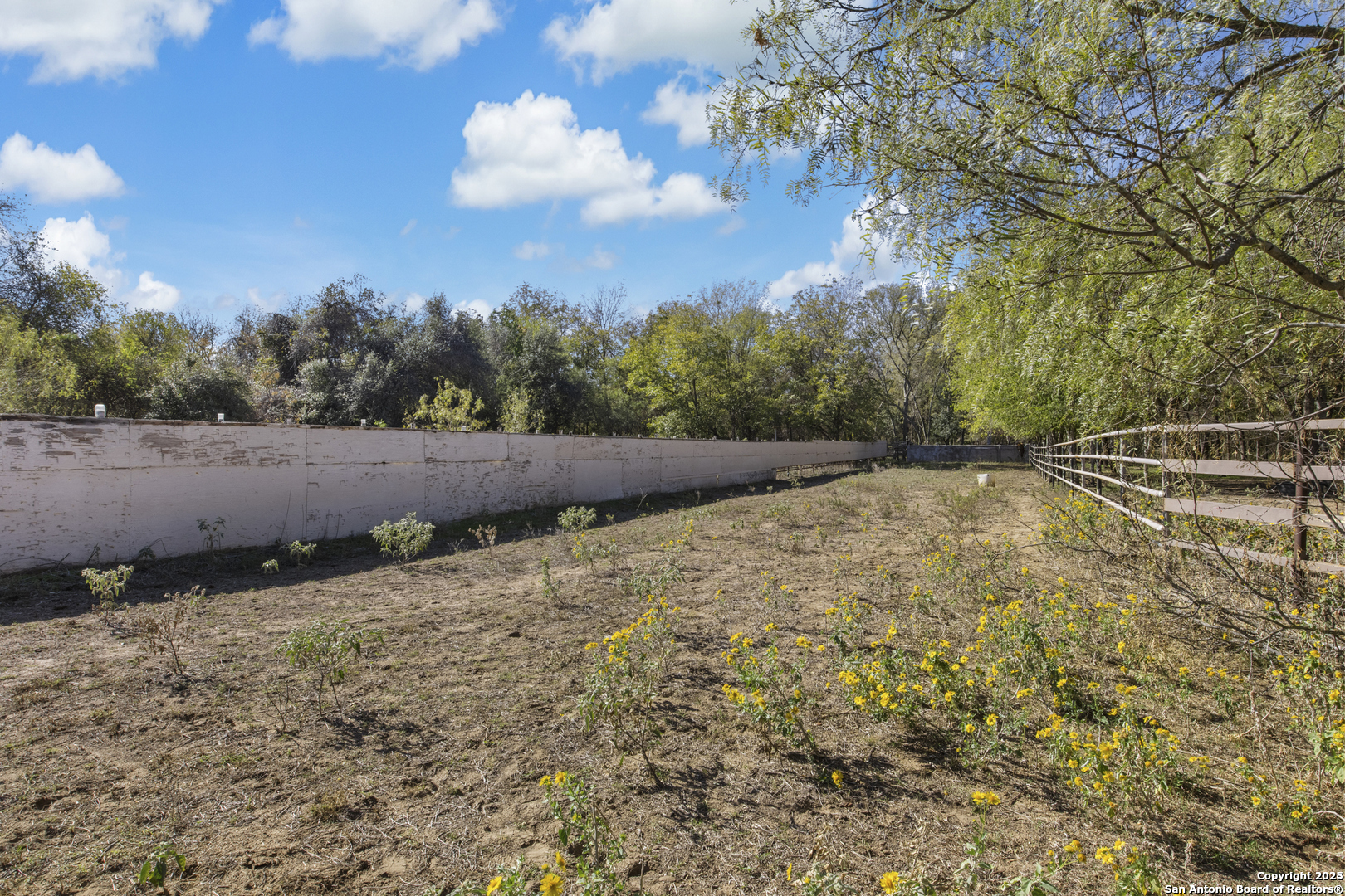 15515 South Skaggs Road Atascosa, TX 78002 - Photo 23 of 24