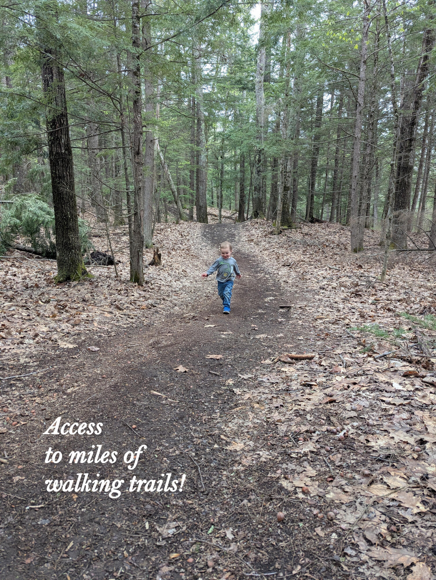 1 Cortland Place, Unit 7 Standish, ME 04084 - Photo 31 of 32 #End - Trails