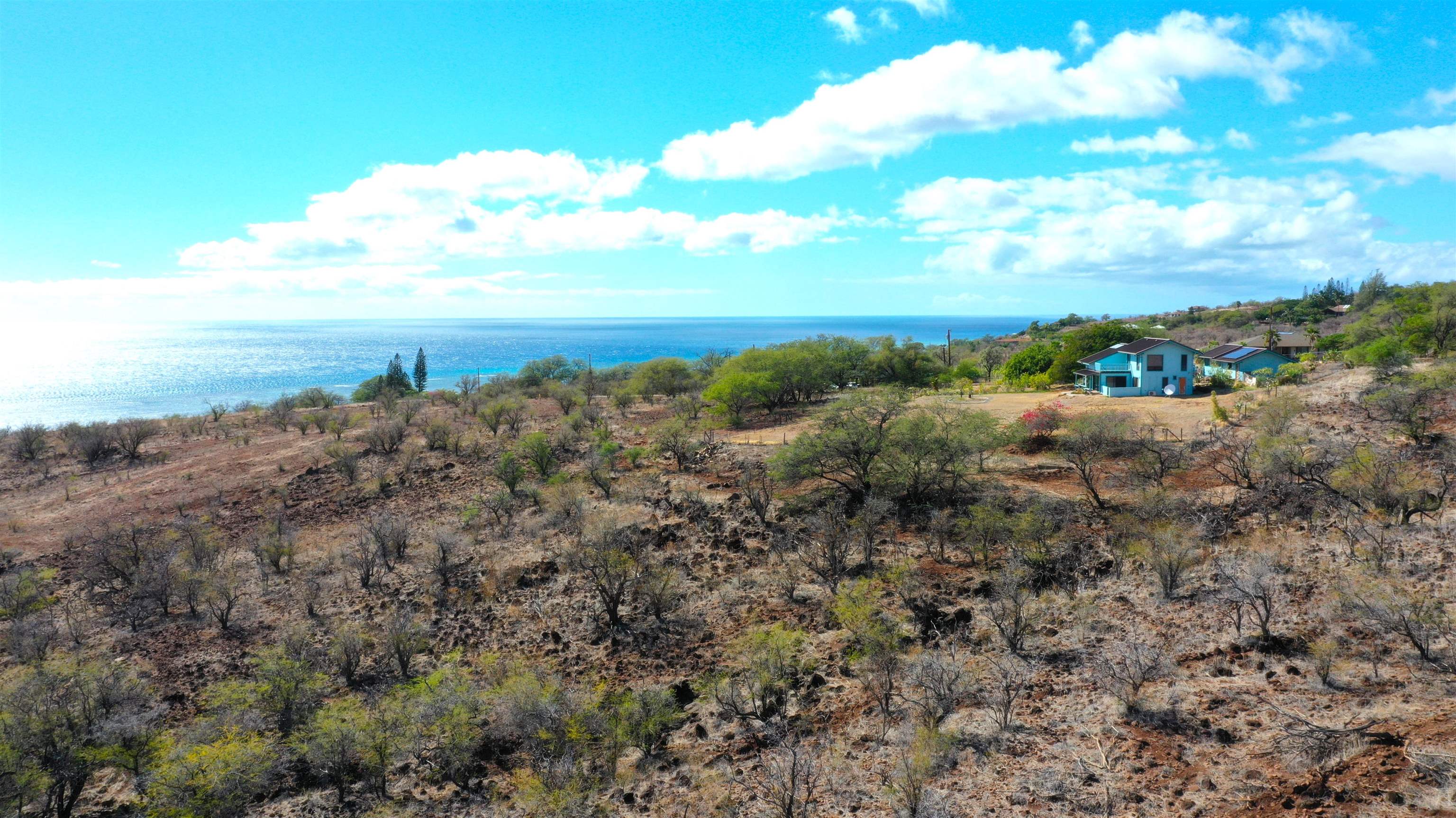 380 Ulua Road, Unit LOT 171 Kaunakakai, HI 96748 - Photo 36 of 44 a view of a bunch of trees in a field