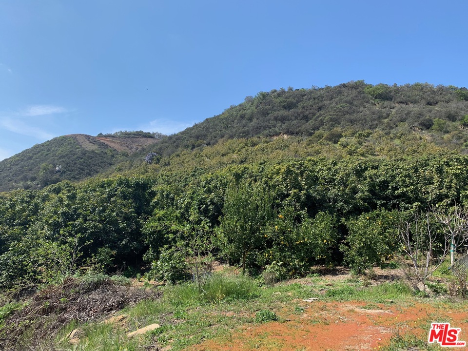 45220 Los Gatos Road Temecula, CA 92590 - Photo 14 of 18