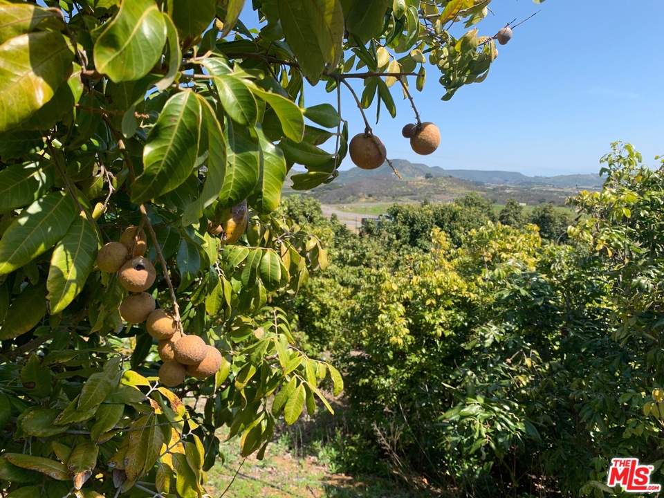 45220 Los Gatos Road Temecula, CA 92590 - Photo 15 of 18