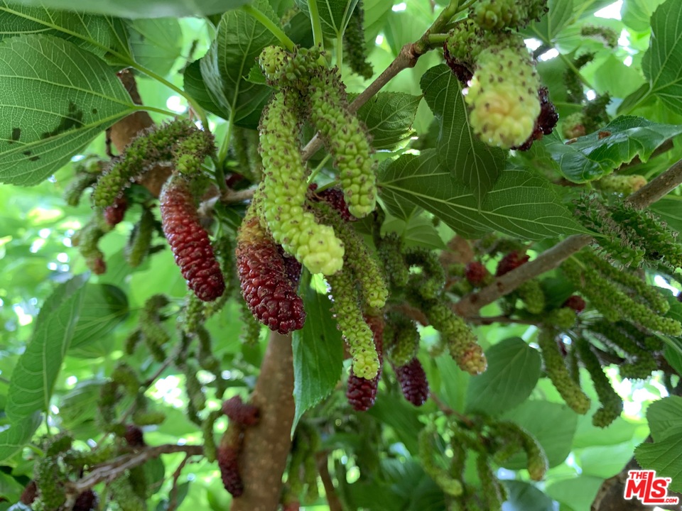 45220 Los Gatos Road Temecula, CA 92590 - Photo 2 of 18