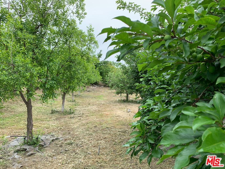 45220 Los Gatos Road Temecula, CA 92590 - Photo 5 of 18