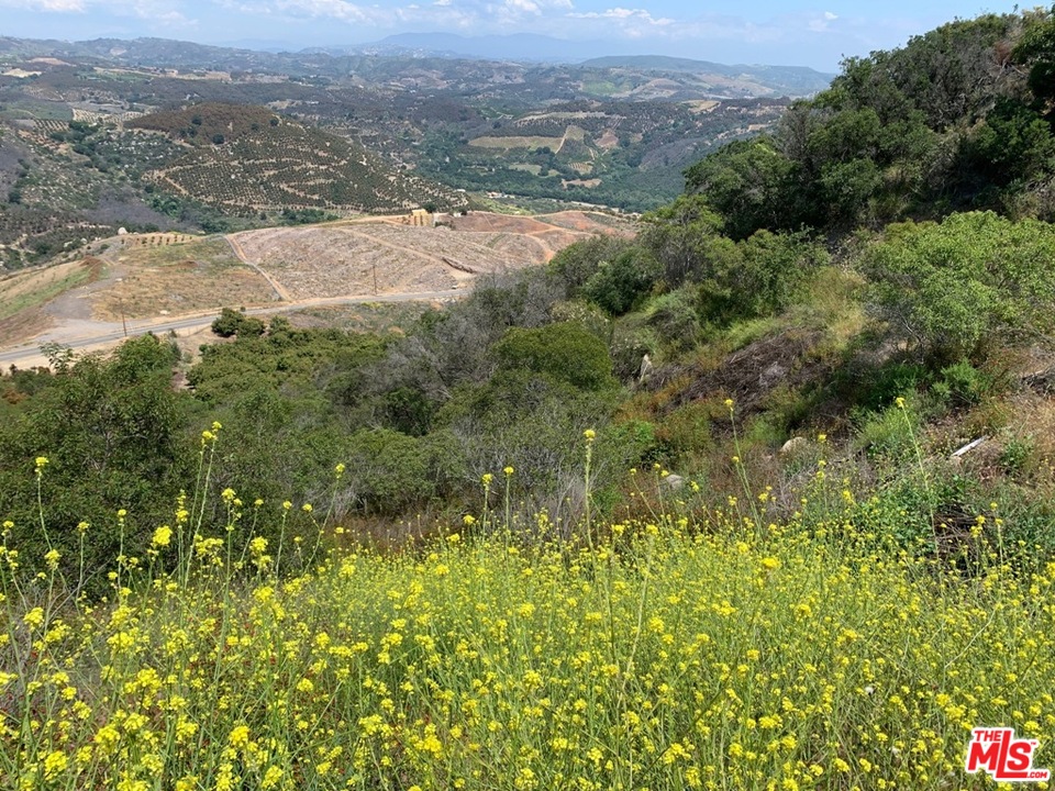 45220 Los Gatos Road Temecula, CA 92590 - Photo 8 of 18