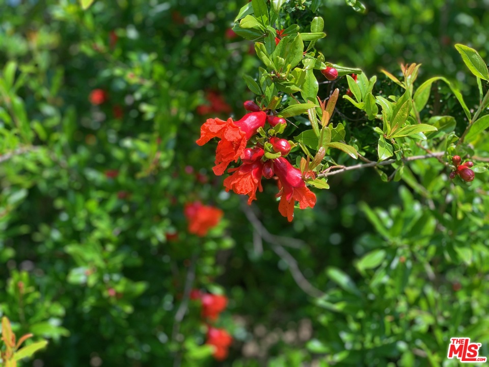 45220 Los Gatos Road Temecula, CA 92590 - Photo 9 of 18