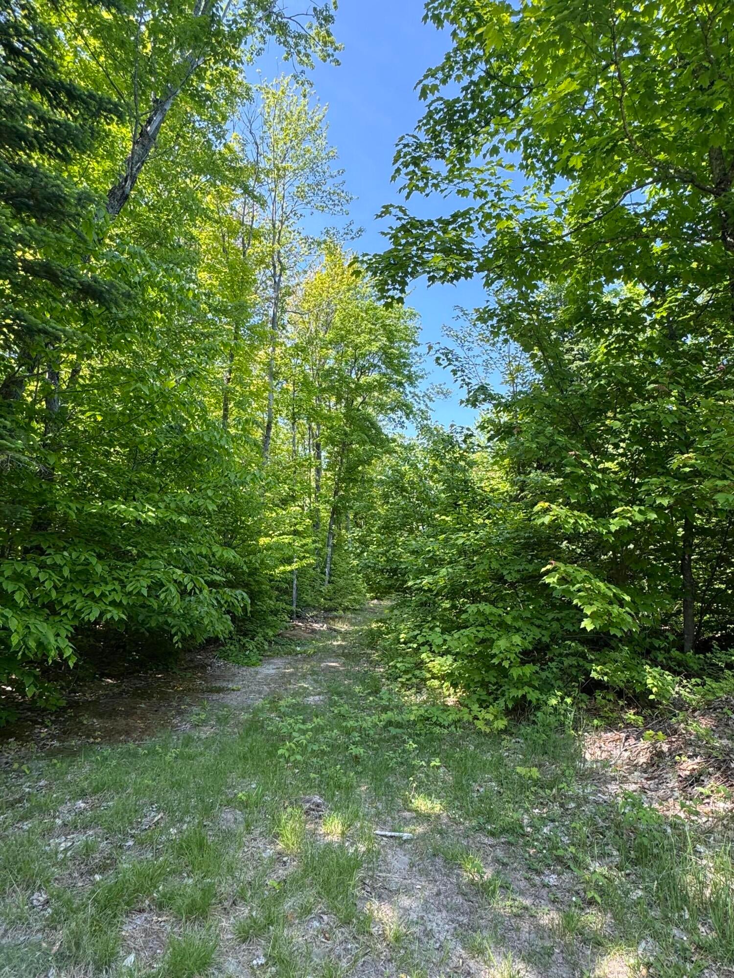 Tbd South Piatt Lake Road Eckerman, MI 49728 - Photo 6 of 22 Gallery Image 6