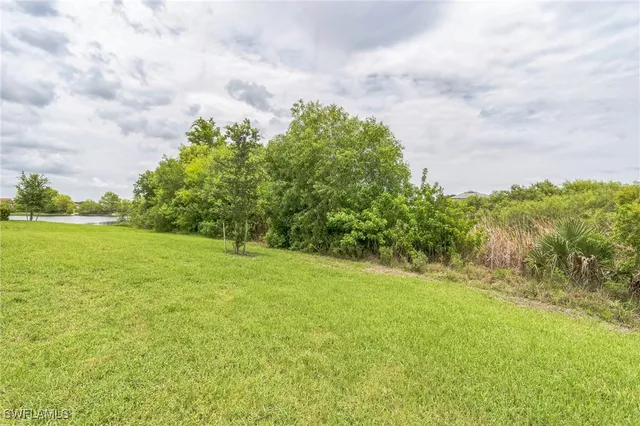 a view of a yard with an trees