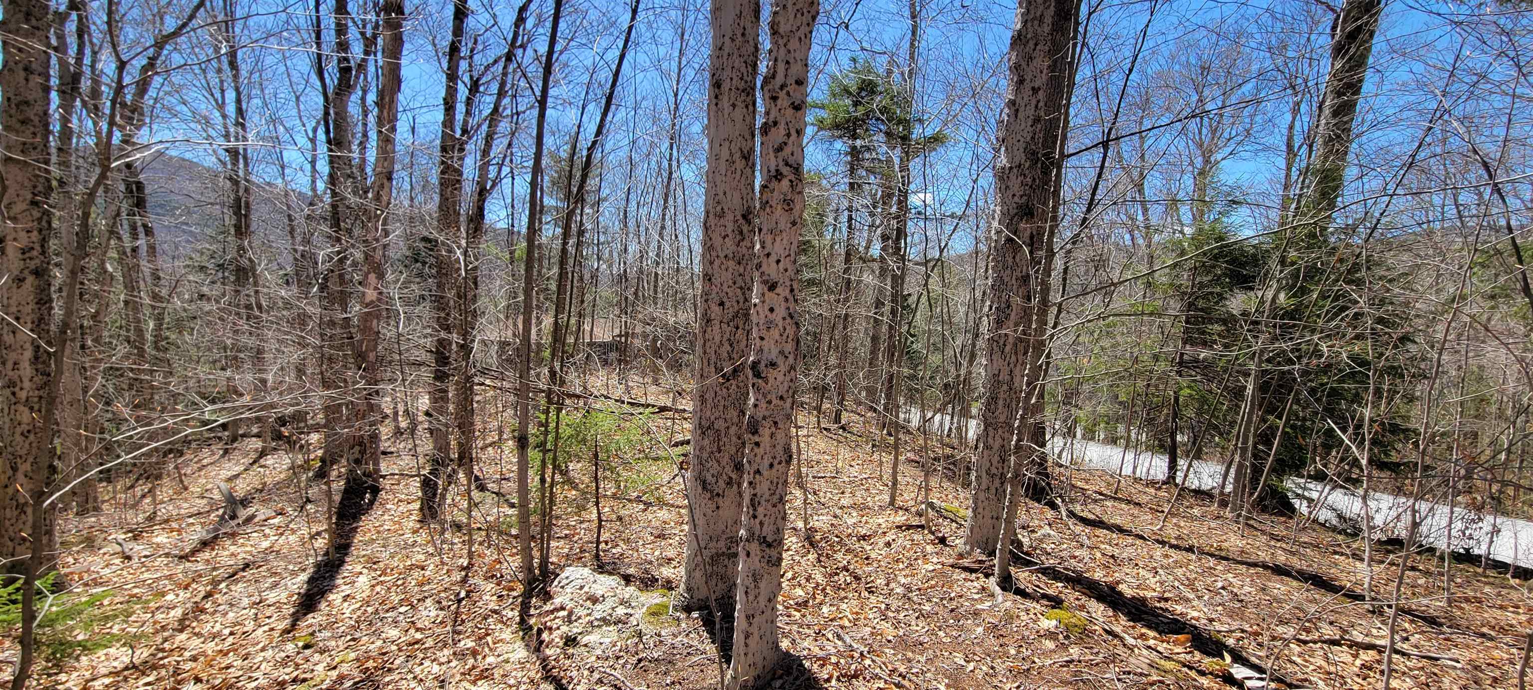 7 Spring Hill Road, Unit 7 Killington, VT 05751 - Photo 1 of 5