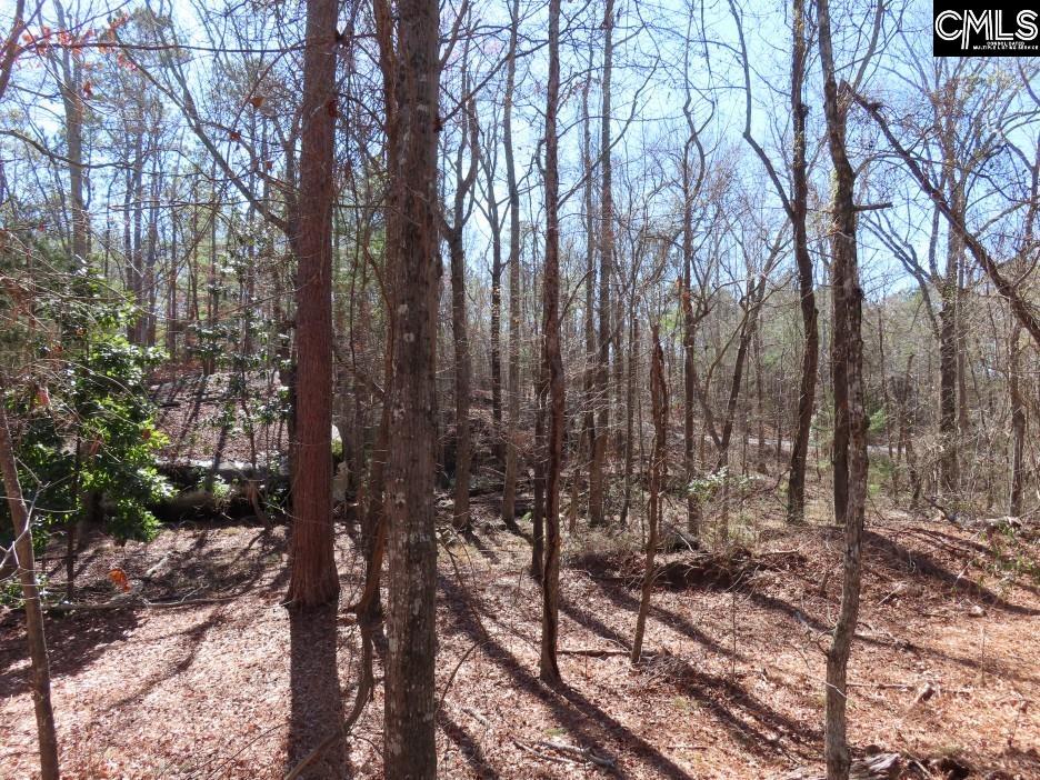 0 Rion Road Winnsboro, SC 29180 - Photo 27 of 42